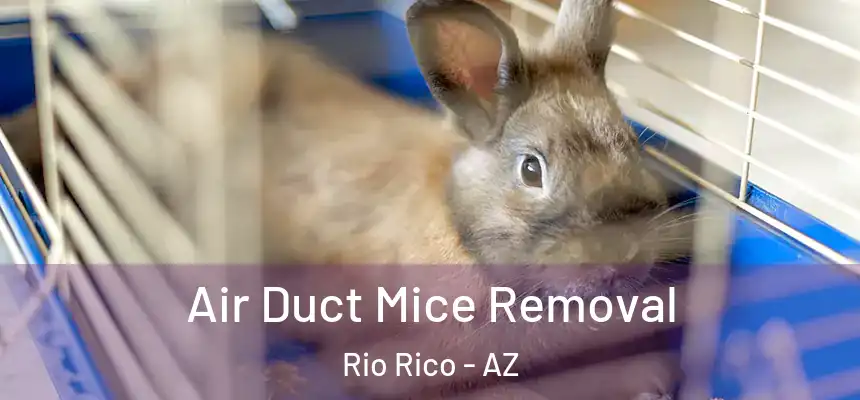 Air Duct Mice Removal Rio Rico - AZ