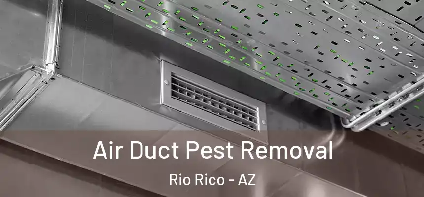 Air Duct Pest Removal Rio Rico - AZ