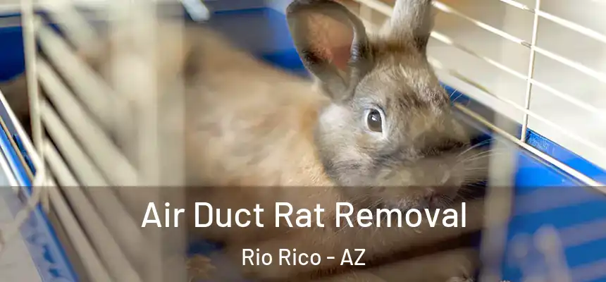 Air Duct Rat Removal Rio Rico - AZ