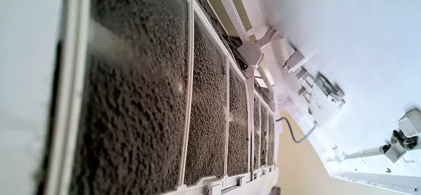 Preventive Air Duct Bacteria Removal in Rio Rico