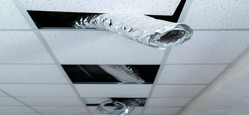 Affordable HVAC Sanitizing After Pest Removal in Rio Rico