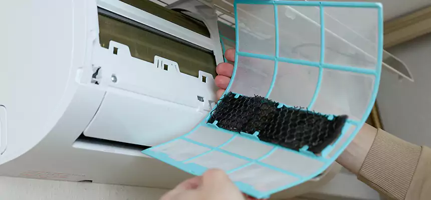 Gentle Ductwork Odor-Control Pet Dander Duct Cleaning in Rio Rico, AZ