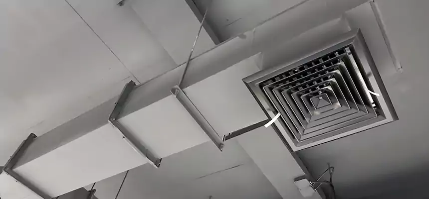 Our Rodent Droppings In Vents Services in Rio Rico, AZ