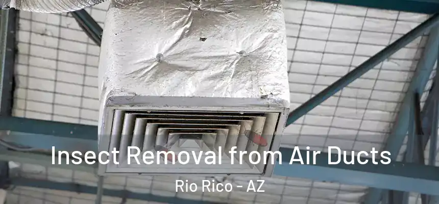  Insect Removal from Air Ducts Rio Rico - AZ