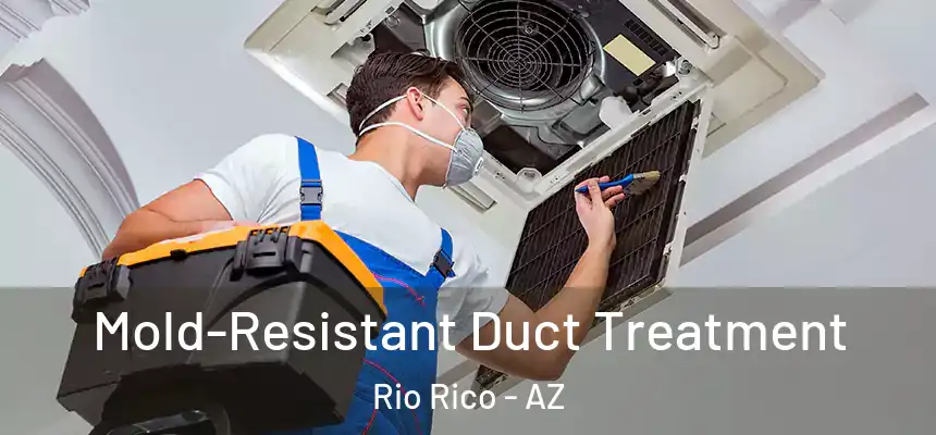Mold-Resistant Duct Treatment Rio Rico - AZ