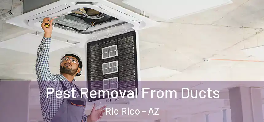  Pest Removal From Ducts Rio Rico - AZ