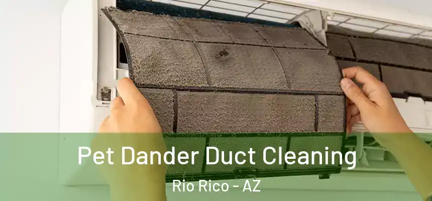  Pet Dander Duct Cleaning Rio Rico - AZ