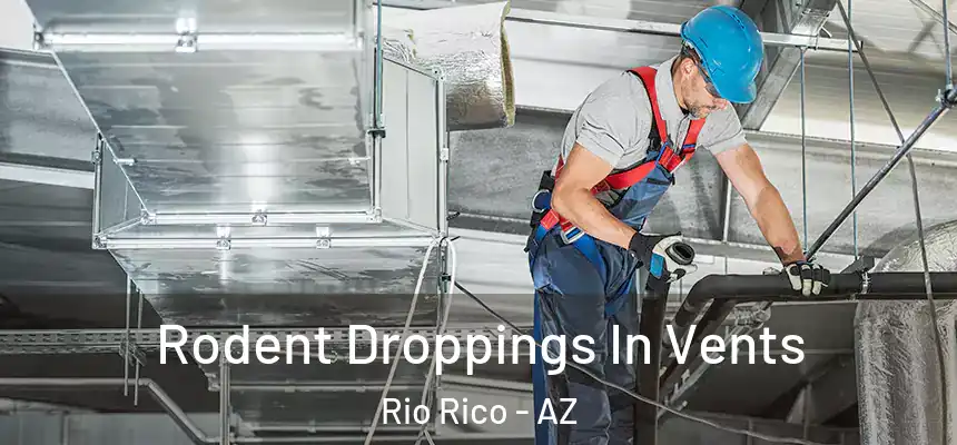  Rodent Droppings In Vents Rio Rico - AZ