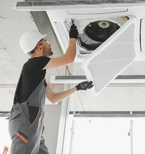 About Air Duct Rodent Removal in Rio Rico, AZ