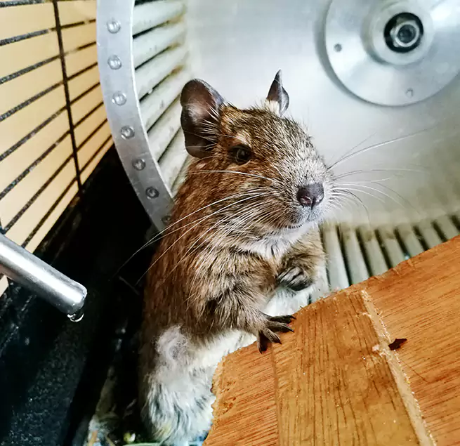 Why Homeowners & Businesses Trust Us Rio Rico, AZ