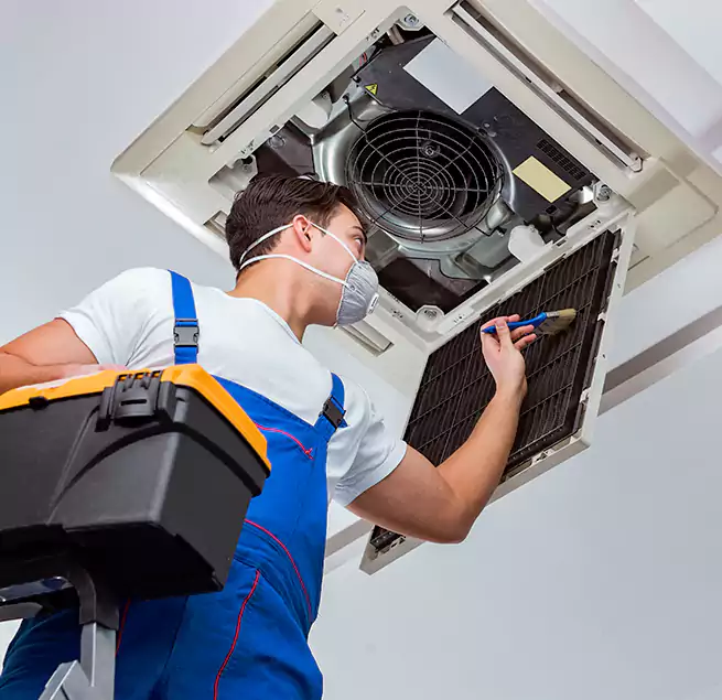 Why Homeowners & Businesses Trust Us in Rio Rico, AZ