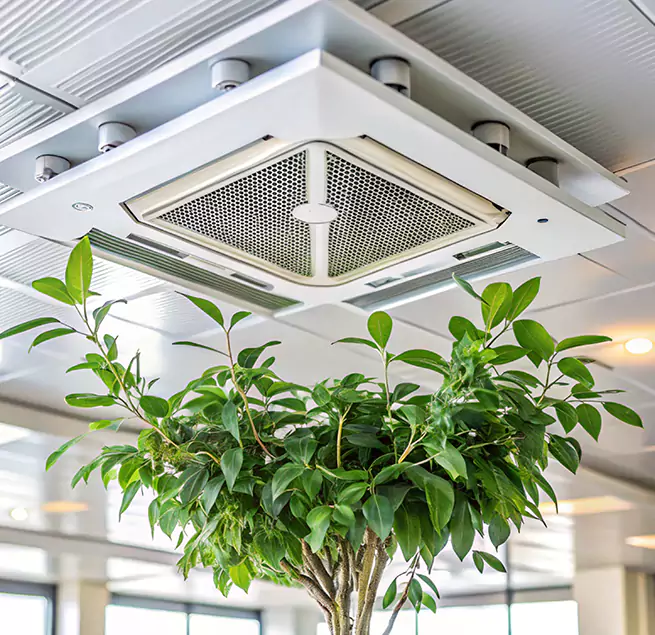 Why Homeowners & Businesses Trust Us in Rio Rico, AZ