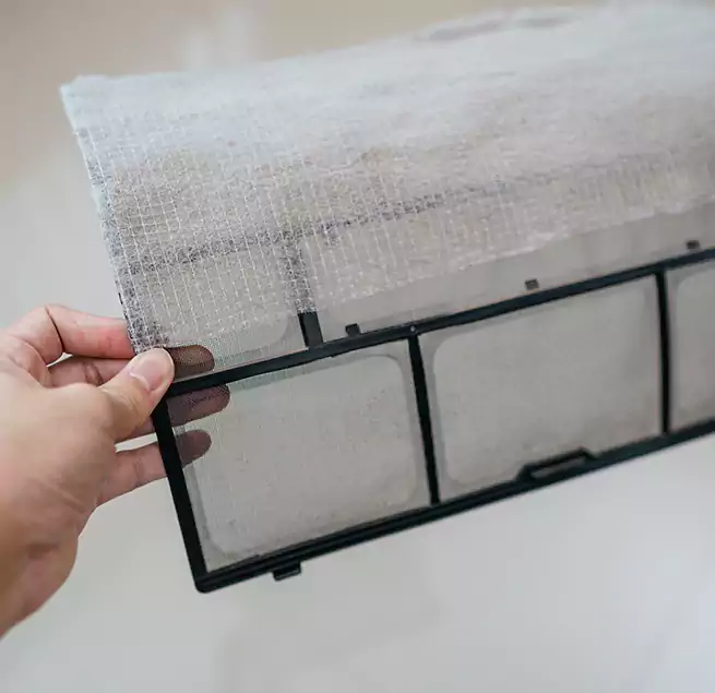 Why Homeowners & Businesses Trust Us in Rio Rico, AZ?