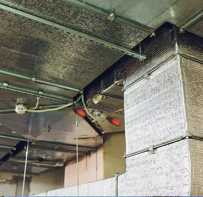 Why Homeowners & Businesses Trust Us Rio Rico, AZ?