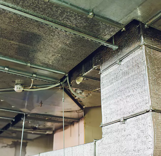 Why Homeowners & Businesses Trust Us in Rio Rico, AZ?