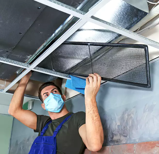 Why Homeowners Businesses Trust Us in Rio Rico, AZ